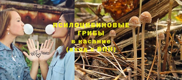 мескалин Алексин