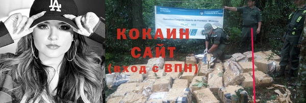 крисы Россошь