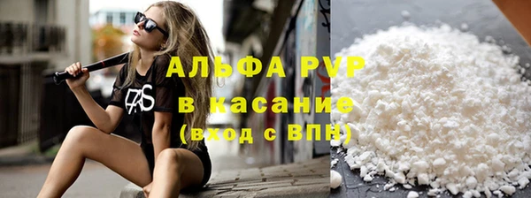ГАЛЛЮЦИНОГЕННЫЕ ГРИБЫ Сатка