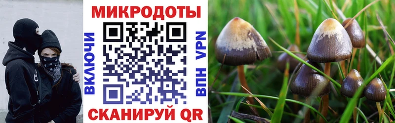 наркошоп  Асино  Галлюциногенные грибы MAGIC MUSHROOMS 